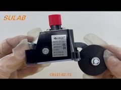 CR137-BZ-T2 Wytrzymały wyłącznik krańcowy o stopniu ochrony IP67, 2 styki migowe SPDT i rolka stalowa L